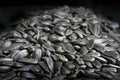 Black sunflower seeds texture on dark background Royalty Free Stock Photo