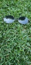 black sunglasses lie on the green lawn grass in the park