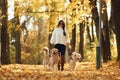 In black sunglasses. Woman on the walk with her two dogs in the autumn forest