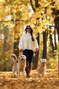 In black sunglasses. Woman on the walk with her two dogs in the autumn forest