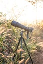 Black super telephoto lens and digital camera body on tripod in wild grass flower field