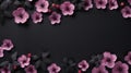 Black Surface With Pink Primrose Border Minimalist Kawaii Aesthetic