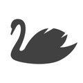 Black swan isolated vector pictogram. Unknown effect metaphor. Hard to predict result bird illustration. Elegance, grace symbol.