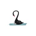 A black swan with its chick vector or color illustration Royalty Free Stock Photo