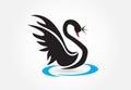 Black Swan Logo Vector Image Royalty Free Stock Photo