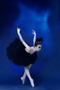 Portrait of young incredibly beautiful woman, ballerina in black ballet outfit, tutu dancing at blue studio full of Royalty Free Stock Photo