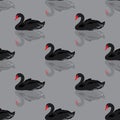 Black swan seamless background