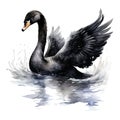 Black swan watercolor. Illustration AI Generative Royalty Free Stock Photo