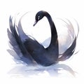 Black Swan watercolor illustration on white background. Hand drawn illustration Royalty Free Stock Photo