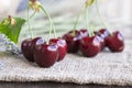 Black sweet cherries. Closeup Royalty Free Stock Photo