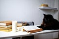 Black and tabby cat on a white table next to a stack of books and a candle Royalty Free Stock Photo