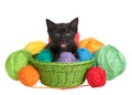 Black tabby kitten with blue eyes in a green woven basket full of yarn overflowing Royalty Free Stock Photo