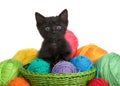 Black tabby kitten with blue eyes in a green woven basket full of yarn overflowing Royalty Free Stock Photo