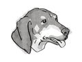 Black and Tan Coonhound Dog Breed Cartoon Retro Drawing