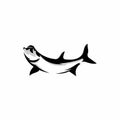 Black Tarpon Fish White Background Logo Design Royalty Free Stock Photo