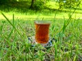 Black tea in Armudu glass on the green grass field. Royalty Free Stock Photo