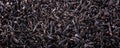Black tea background Royalty Free Stock Photo