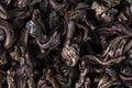 Black tea background macro Royalty Free Stock Photo