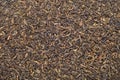 Black tea background texture Royalty Free Stock Photo