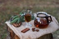 Black tea beautifully brewed in a glass teapot outdoors in the forestBlack Royalty Free Stock Photo