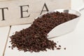 Black tea crop Royalty Free Stock Photo