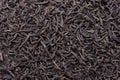 Black tea, dried tea leaves Royalty Free Stock Photo