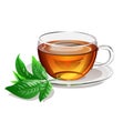 Black tea in a glass cup with green leaf of tea. Vector illustration. Royalty Free Stock Photo