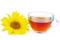 Black tea in the glass cup and sunflower near isolated on a white . Copy space Royalty Free Stock Photo