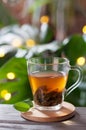 Black tea in glass cup on wooden table. Against the background of green leaves, monstera and yellow bokeh from sunlight. Royalty Free Stock Photo