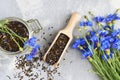 Black tea leaves and herbal blend with cornflower petals and fresh flowers. Herbal tea flat lay