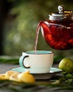 Black tea with lemon and mint pouring from glass clear teapot into clay cup or mug on table. Objects on blurred green Royalty Free Stock Photo