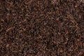 Black tea loose dried tea leaves, texture Royalty Free Stock Photo