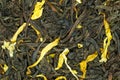 Black Tea Vanilla Cinnamon Royalty Free Stock Photo