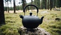 A black teapot sitting on a rock in the woods