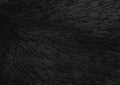 Black textured background for wallpaper Royalty Free Stock Photo