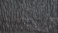 Black textured crinkled background. Black wrinkled fabric with lace inserts