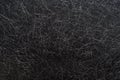 Black textured paper background Royalty Free Stock Photo