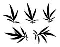 Black thin grass leaves silhouettes isolated on white. Autumn fallen field grass leaves. Stencil vector