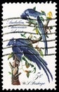 Black-throated Magpie-jay Calocitta colliei, John James Audubon Issue serie, circa 1963