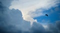 Storm clouds overtook the blue sky before the rain Royalty Free Stock Photo