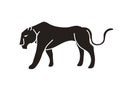 Black tiger or Lioness graphic vector.