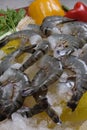 Black tiger prawns Royalty Free Stock Photo