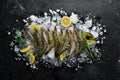 Black tiger prawns with lemon on ice. Seafood. Royalty Free Stock Photo