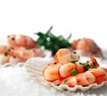 Black Tiger Prawns on snow Royalty Free Stock Photo