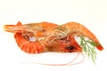 Black Tiger Shrimp Royalty Free Stock Photo