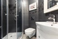 Black tiles in contemporary toilet