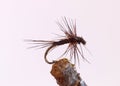 Black tiny fly fishing lure Royalty Free Stock Photo