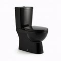 Black toilet bowl isolated on white background. 3d render front view
