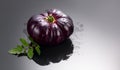 Black tomato, fresh ripe natural bio tomatoes with water drops close-up. Tasty organic whole tomato Black Beauty Royalty Free Stock Photo