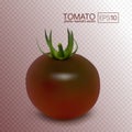 Black tomato kumato on a transparent background. Royalty Free Stock Photo